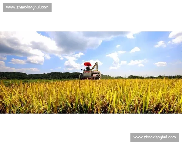 欢庆丰收共享喜悦弘扬农耕文化凝聚乡村振兴力量